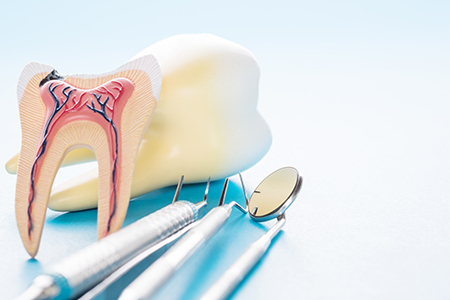 Cedar Dental